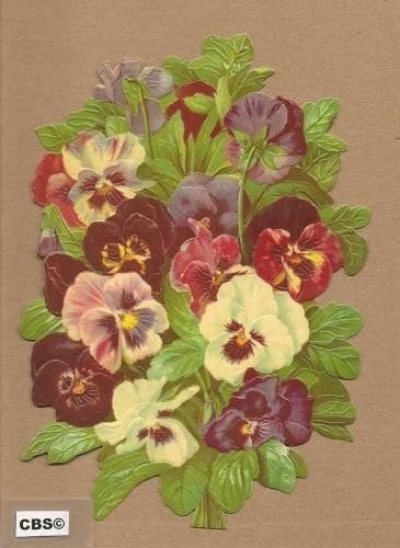 Violen en viooltjes poezieplaatjes 5087, Verzamelen, Ophalen of Verzenden