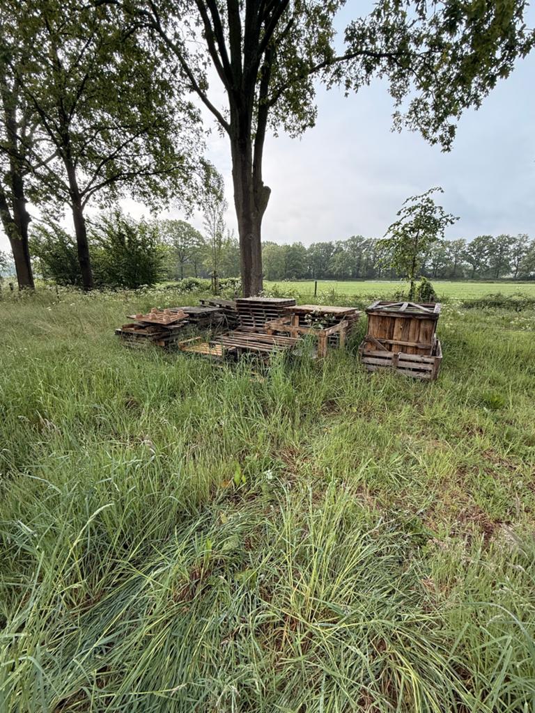 Diverse gebruikte pallets en houten kratten, Ophalen, Gebruikt, 25 tot 50 mm, Pallet