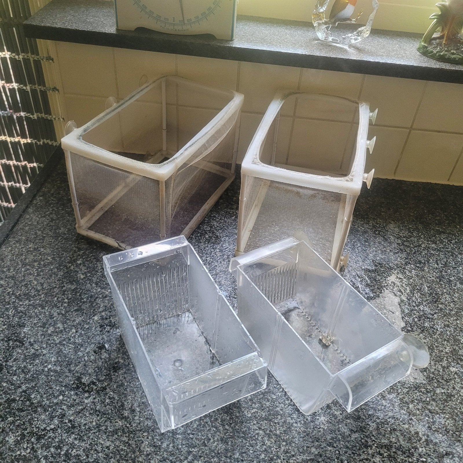 Kweekbakjes vissen, Ophalen