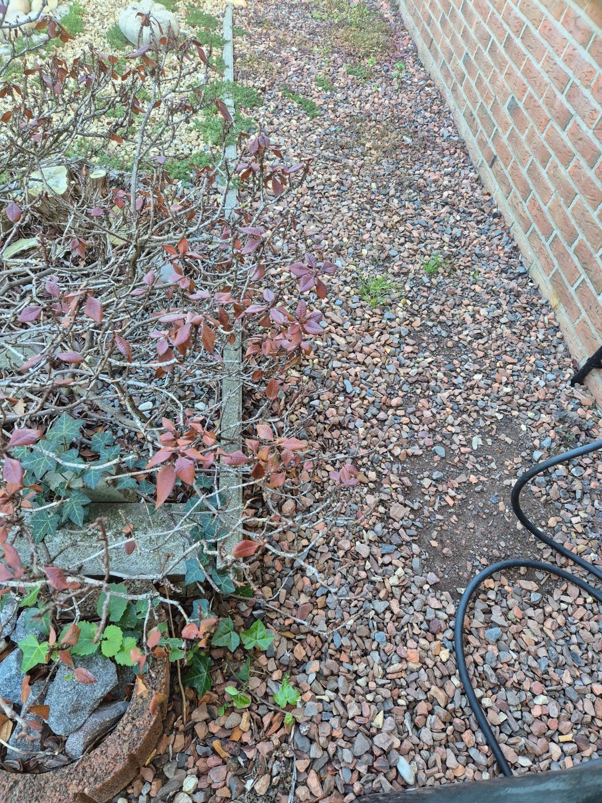 Decoratief grind voor tuin en landschap, Ophalen, Overige materialen, Gebruikt, Grind