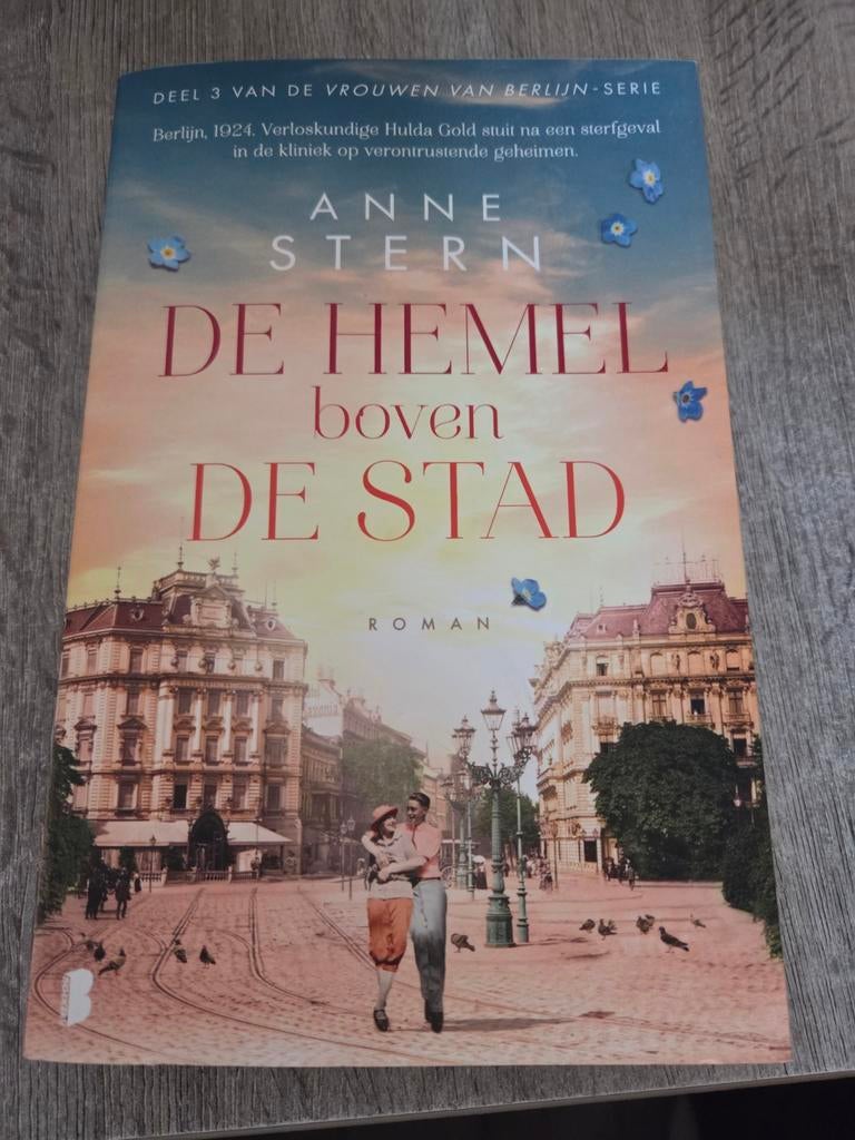 De Hemel boven de Stad - Anne Stern (Deel 3), Boeken, Ophalen of Verzenden, Zo goed als nieuw, Anne Stern, Europa overig