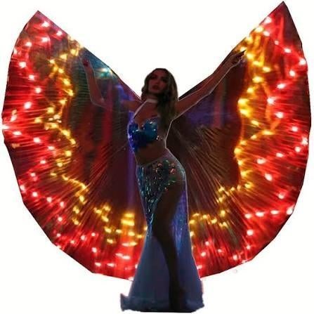 5 ledwings/vleugels, Kleding | Dames, Carnavalskleding en Feestkleding, Ophalen of Verzenden, Nieuw, Carnaval