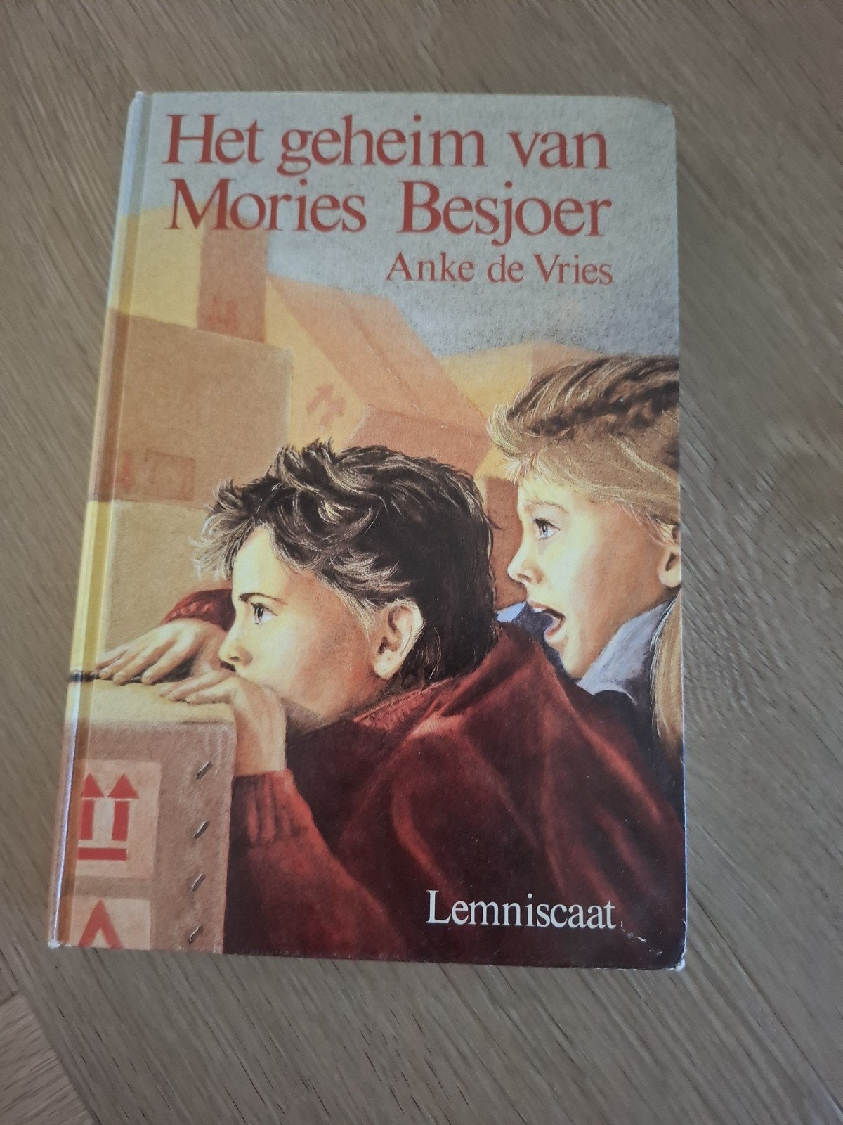 Het geheim van Mories Besjoer - Anke de Vries, Ophalen of Verzenden, Gelezen, Anke de Vries, Fictie
