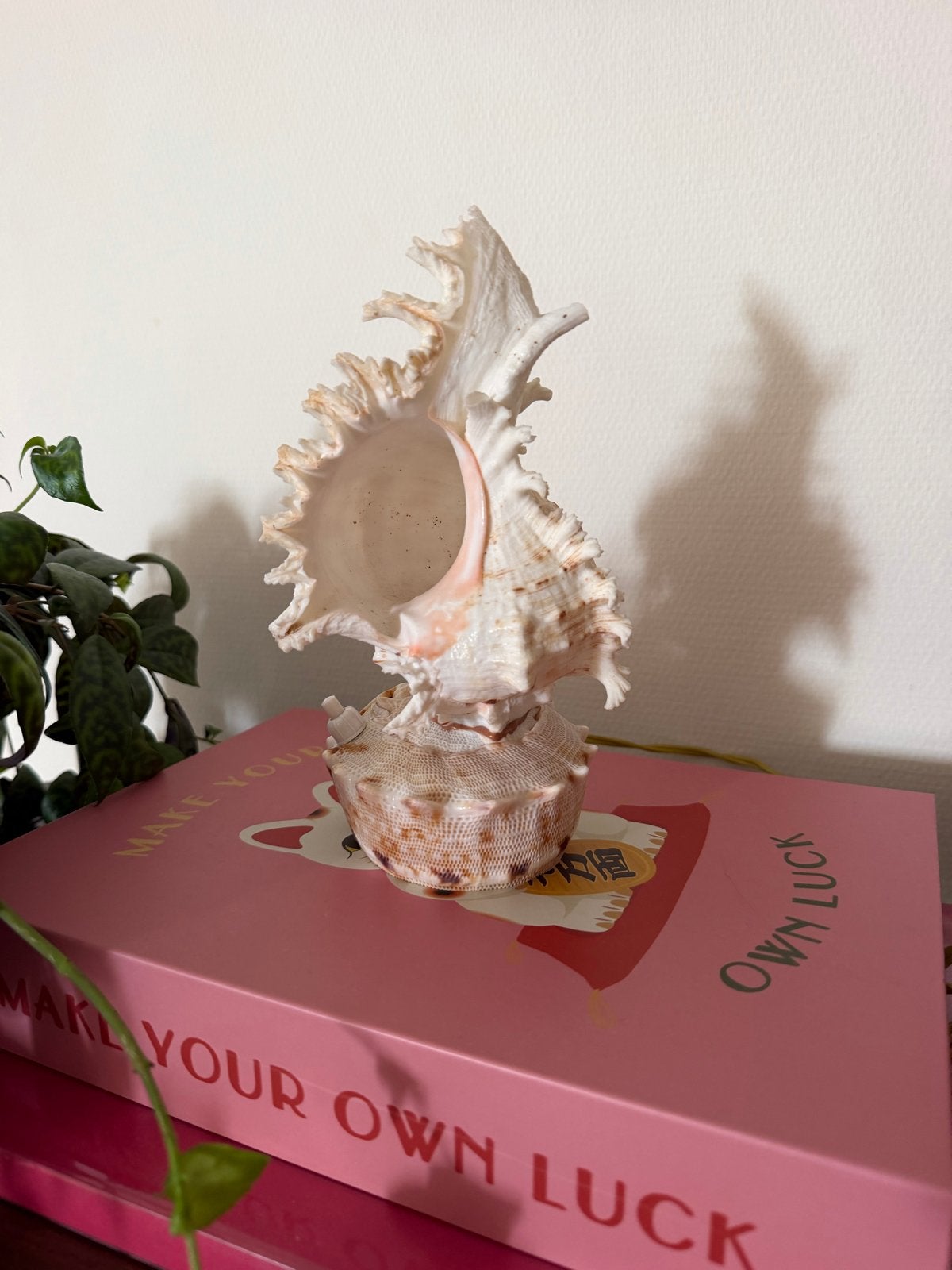 Unieke Schelp lamp, Met schakelaar, Gebruikt, Overige merken, Vintage