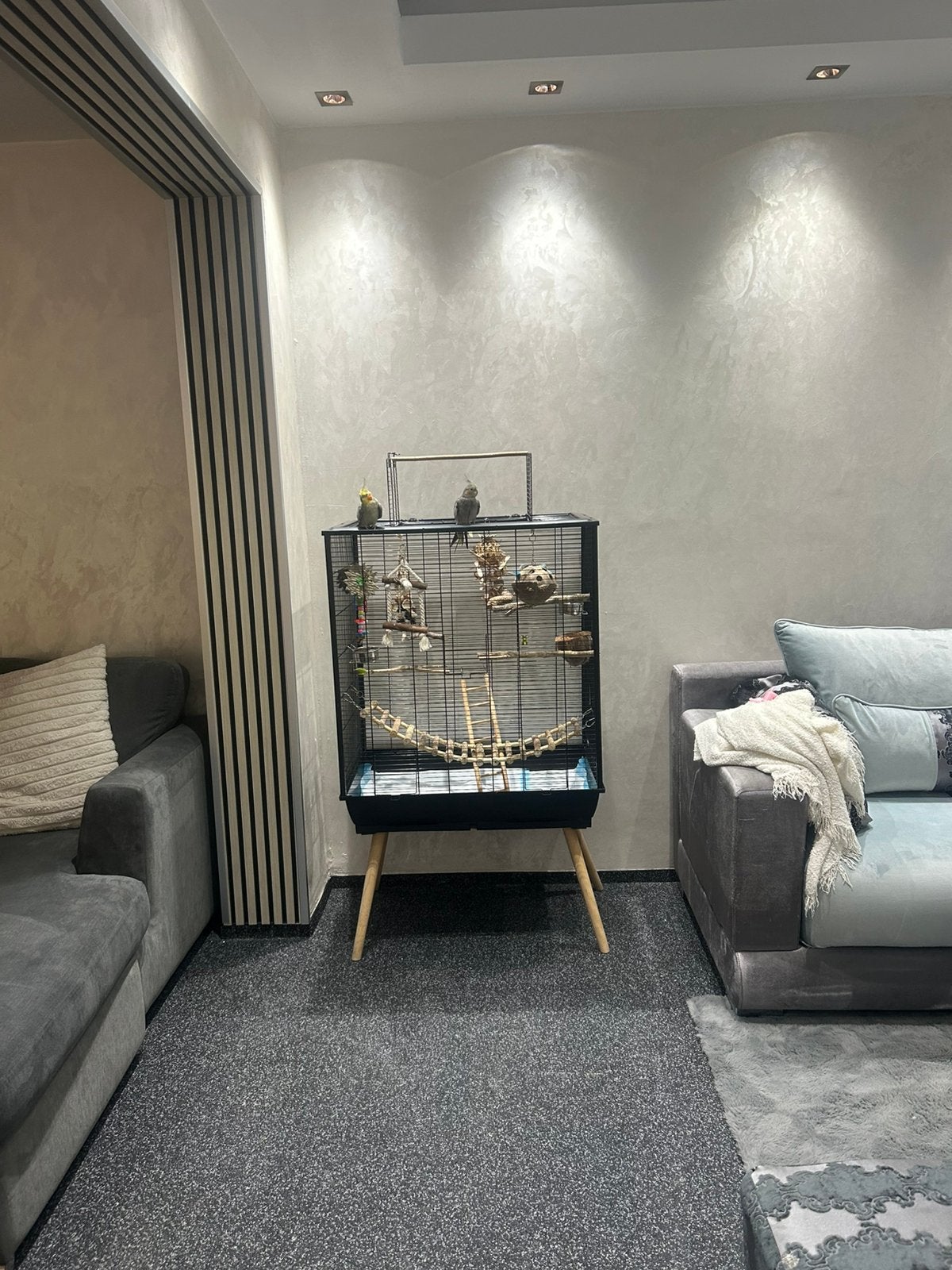 Valkparkiet incl kooi en spullen, Huis en Inrichting, Ophalen, Zo goed als nieuw, 75 m² of meer, Laminaat