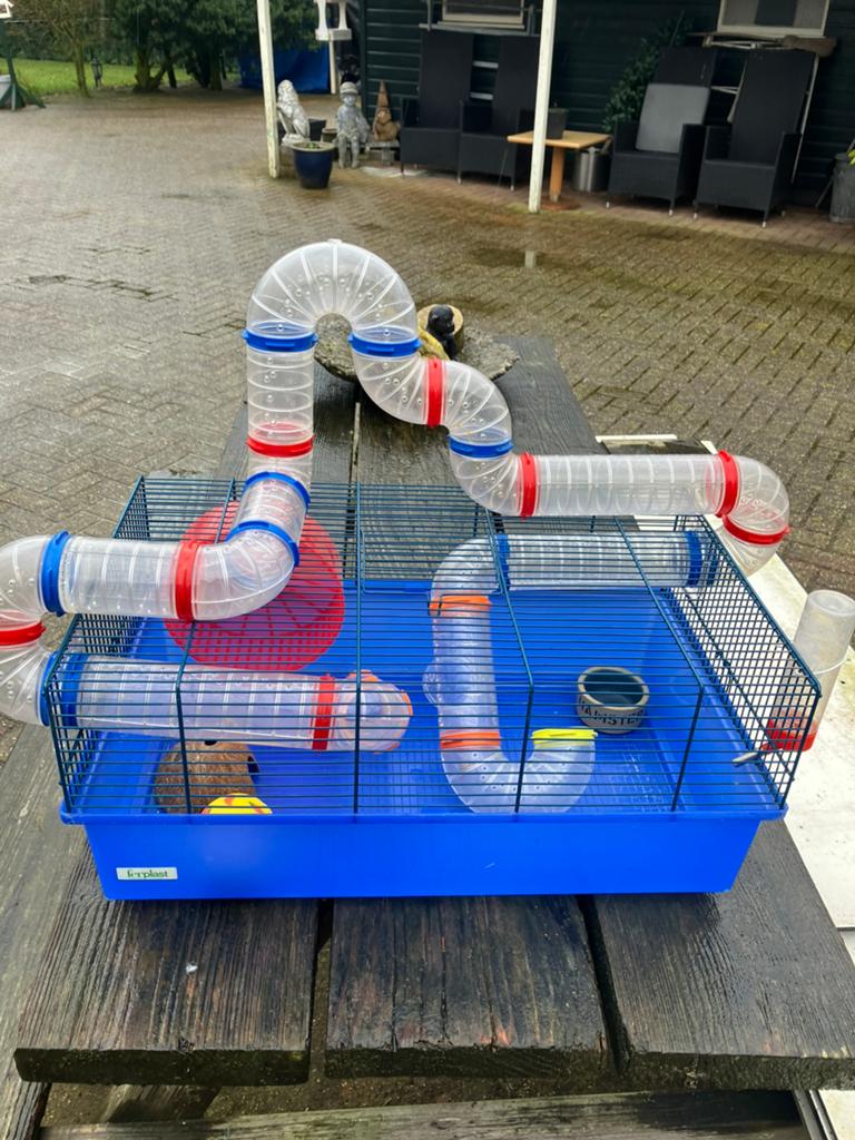 dwerghamsterkooi met buisenstelsel eetbak drinkfles draairat, Kooi, Minder dan 75 cm, Zo goed als nieuw, Hamster