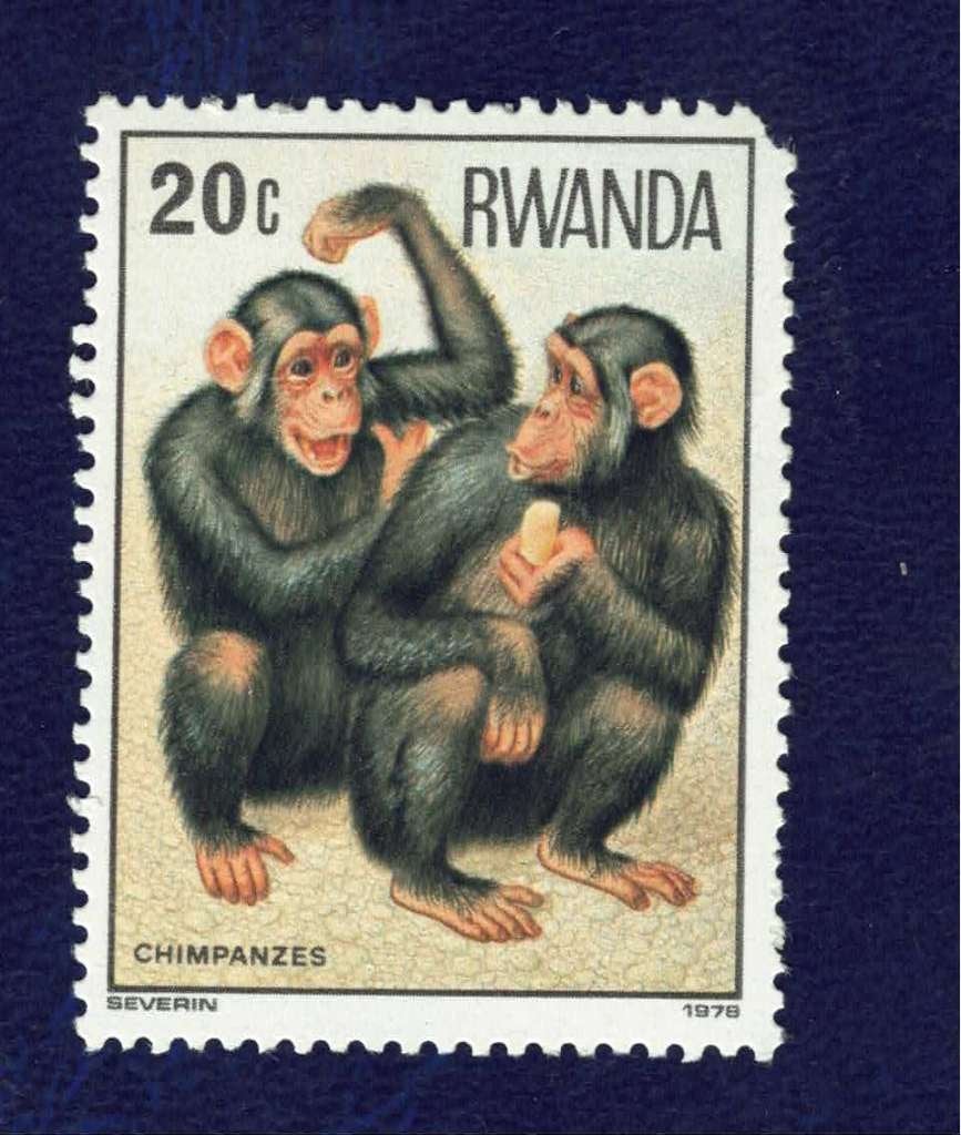 Fauna - Dieren - Apen - Rwanda - Chimpasee's - 20c - p.fr, Ophalen of Verzenden, Postfris, Dier of Natuur