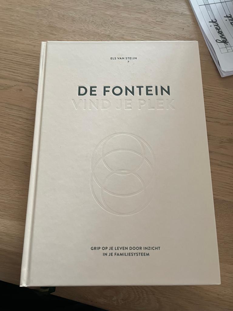 Els van Steijn - De fontein, vind je plek, Boeken, Ophalen of Verzenden, Zo goed als nieuw, Els van Steijn