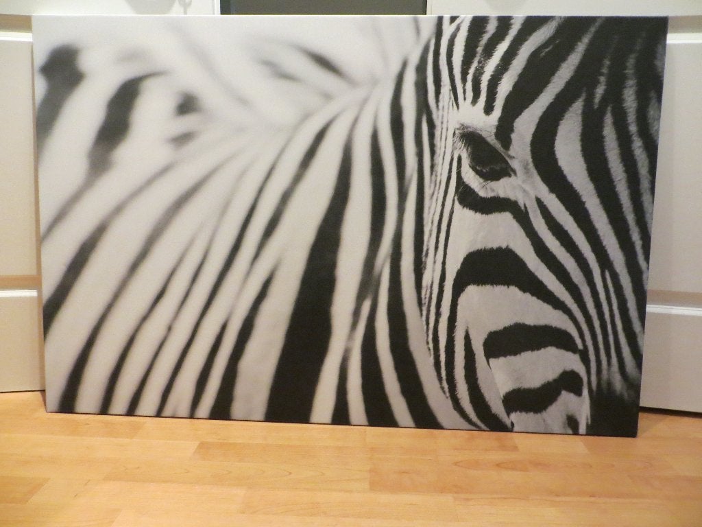 IKEA Schilderij Zebra Zwart/Wit Pjätteryd 78x110 cm, Ophalen of Verzenden, Zo goed als nieuw, 100 tot 125 cm, Schilderij