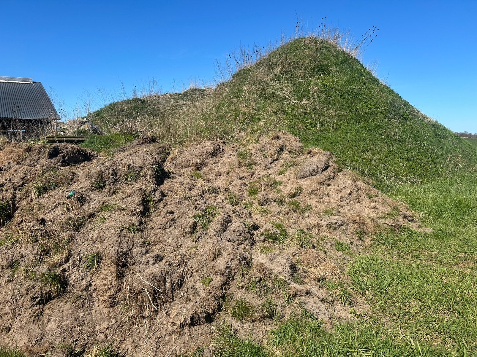 Losse teeltaarde grond te koop, Ophalen, Tuinaarde