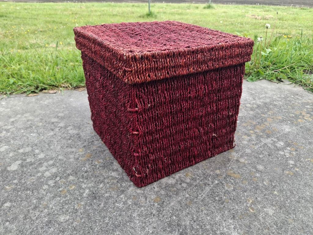 Rode mand, Huis en Inrichting, Woonaccessoires | Schalen en Manden, Ophalen of Verzenden, Overige vormen, Overige materialen