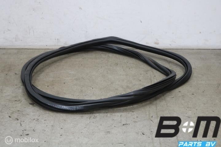 Portierrubber voorzijde Audi A6 4G 4G0831721A, Gebruikt