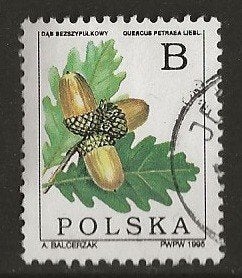 Polen 22, eikel voor cadee, Verzenden, Polen, Gestempeld