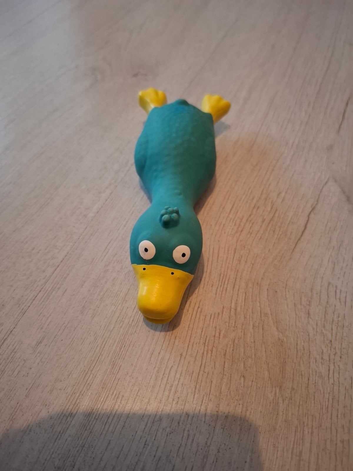Honden speeltje, Ophalen of Verzenden, Nieuw