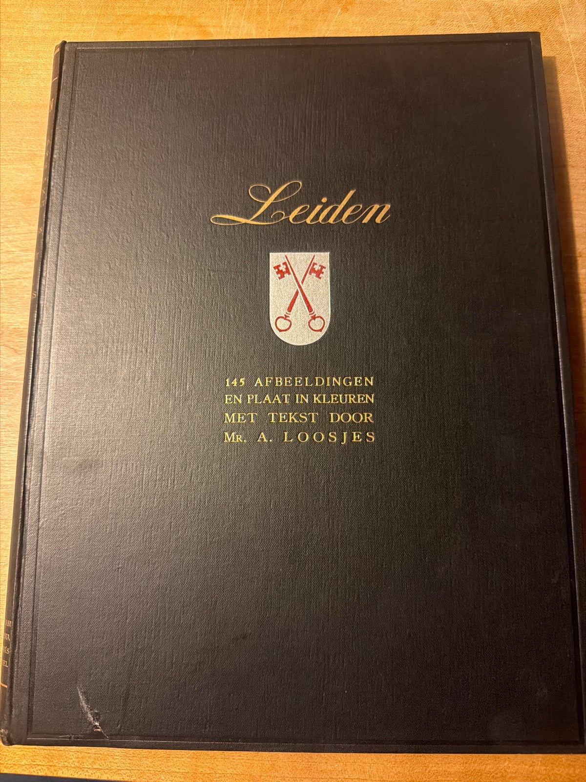 Leiden: 145 afbeeldingen en plaat in kleuren - Mr. A. Loosje, Ophalen of Verzenden, Gelezen, Nederland