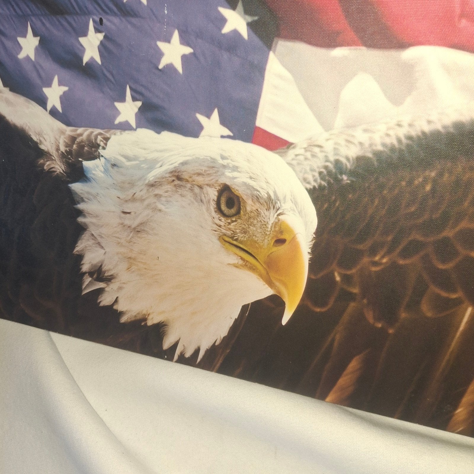 Amerikaanse Adelaar Vlag Canvas Print, Ophalen of Verzenden, Zo goed als nieuw, Minder dan 50 cm, Print