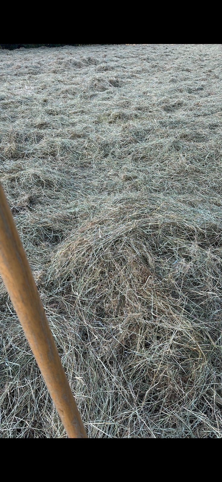 Zeer mooie midi balen zeer geschikt voor paarden mooi droog, Ophalen of Verzenden