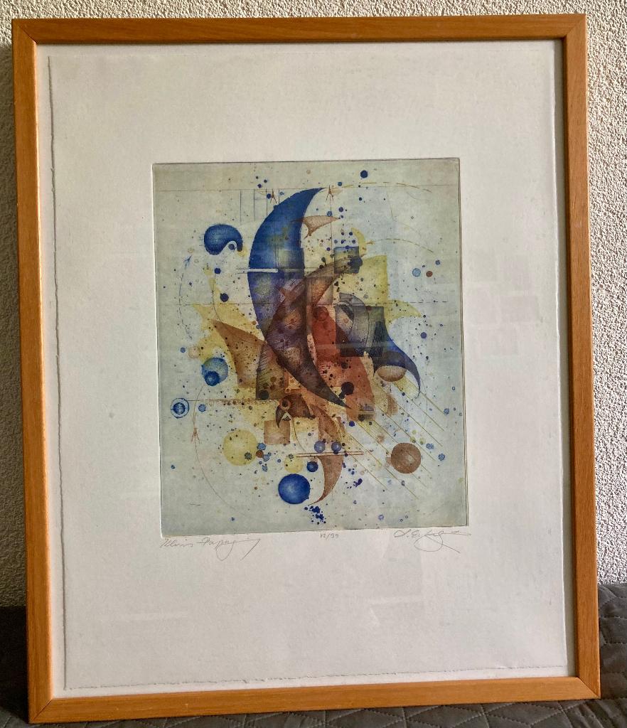 kleurenets Eckert  Kleiner Papagei, Antiek en Kunst, Kunst | Etsen en Gravures, Ingelijst, Ophalen of Verzenden, Flora en Fauna