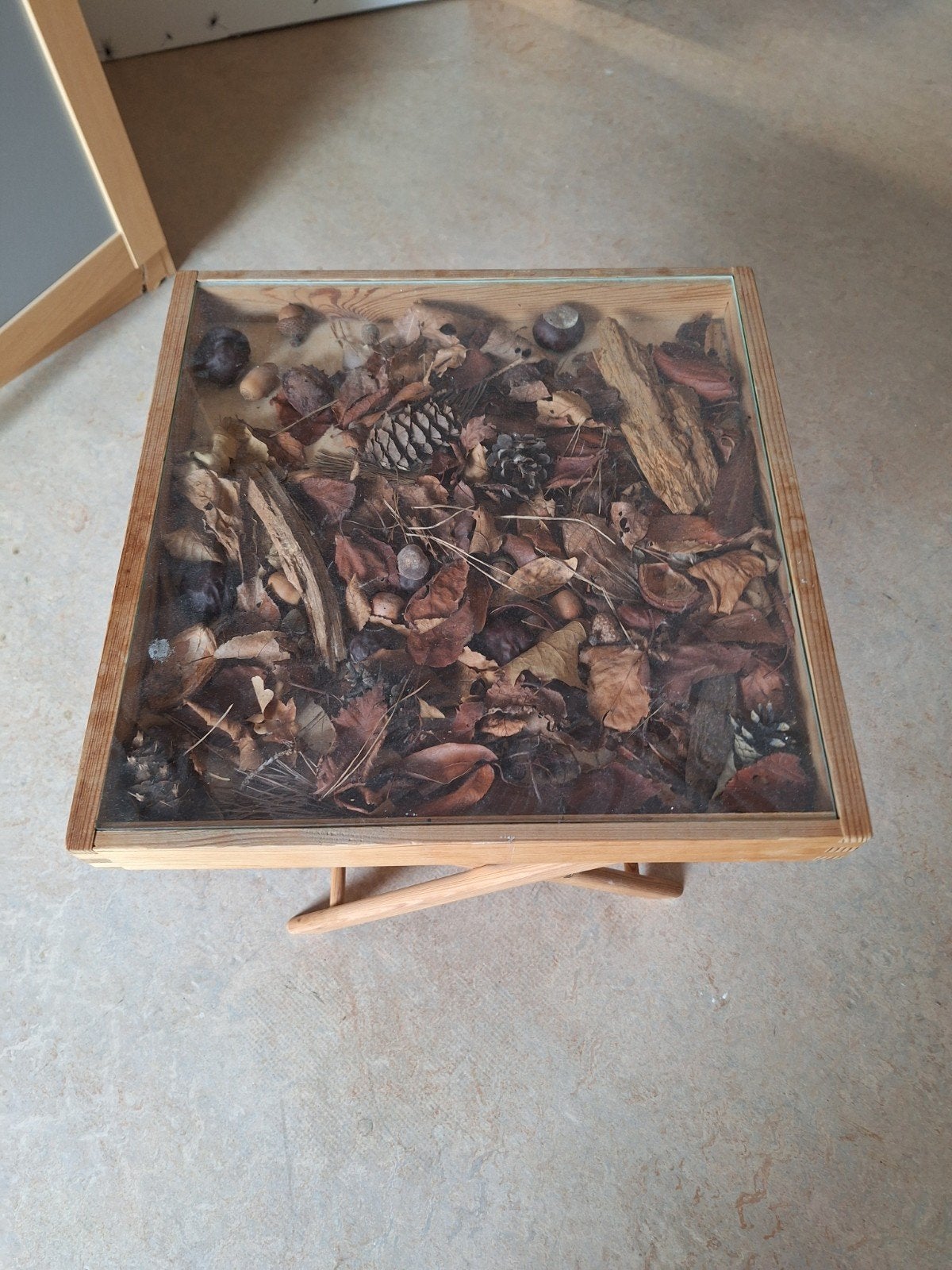 Unieke salontafel met natuurlijke decoratie, Ophalen, Minder dan 50 cm, Gebruikt, Glas