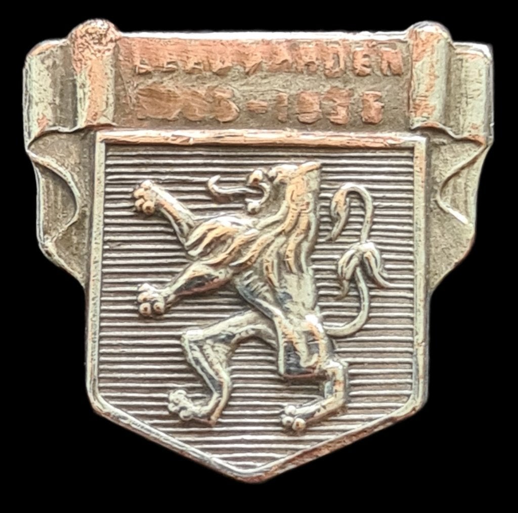 Leeuwarden 1945-1995 speld, Ophalen of Verzenden, Gebruikt, Stad of Land, Speldje of Pin