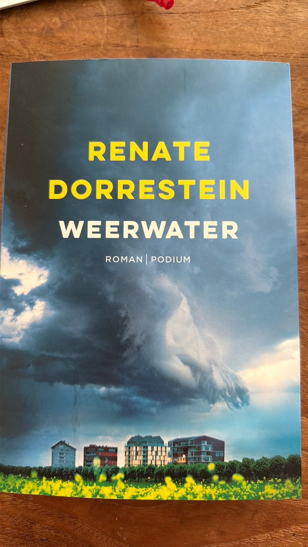 Renate Dorrestein - Weerwater, Ophalen of Verzenden, Zo goed als nieuw, Renate Dorrestein