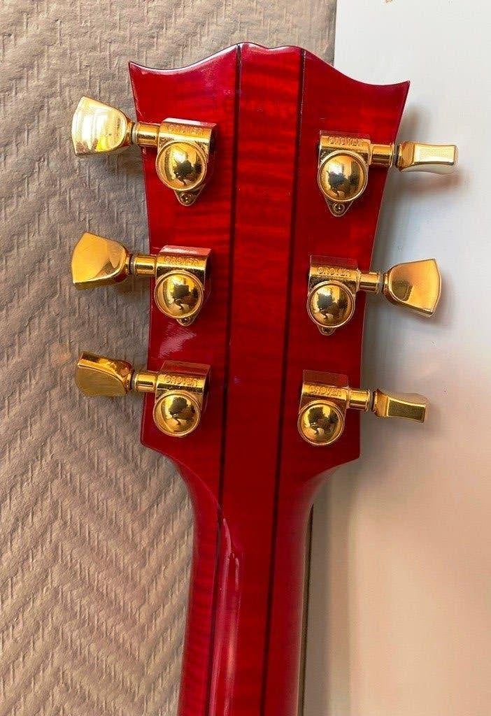 Foto 6 van Gibson Dove , Bozeman Montana & case 2011 zganwst.