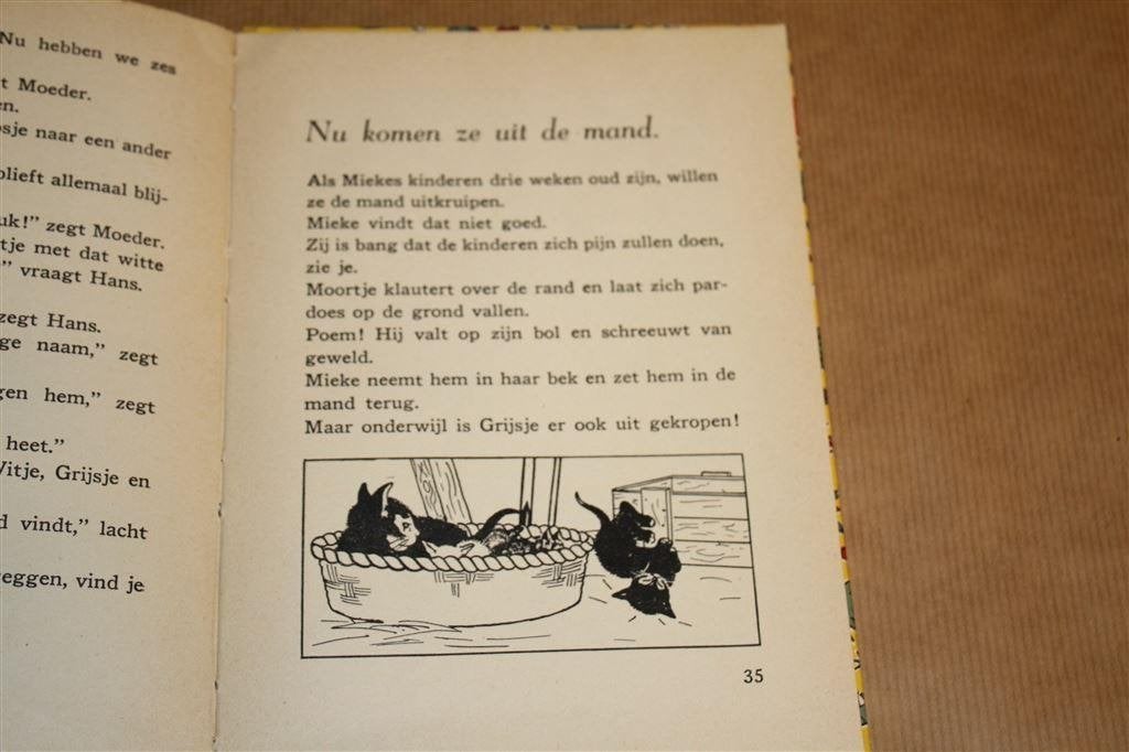 Hans en zijn katten. Jaap van bergen., Ophalen of Verzenden, Gelezen, Fictie algemeen