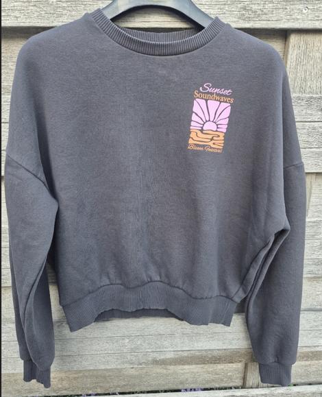 Distrikt Nørrebro sweater, Ophalen of Verzenden, Gedragen, Maat 34 (XS) of kleiner, Grijs