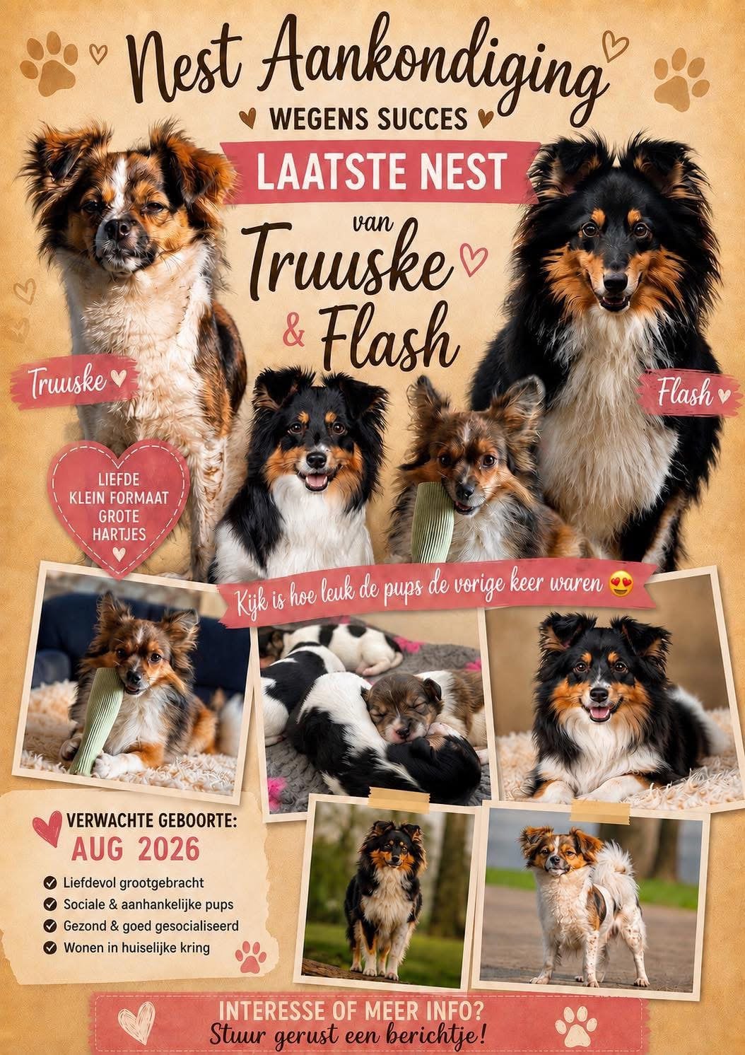 Leuke pups verwacht! Leukste combi!, Parvo, Overige rassen, 8 tot 15 weken, Meerdere