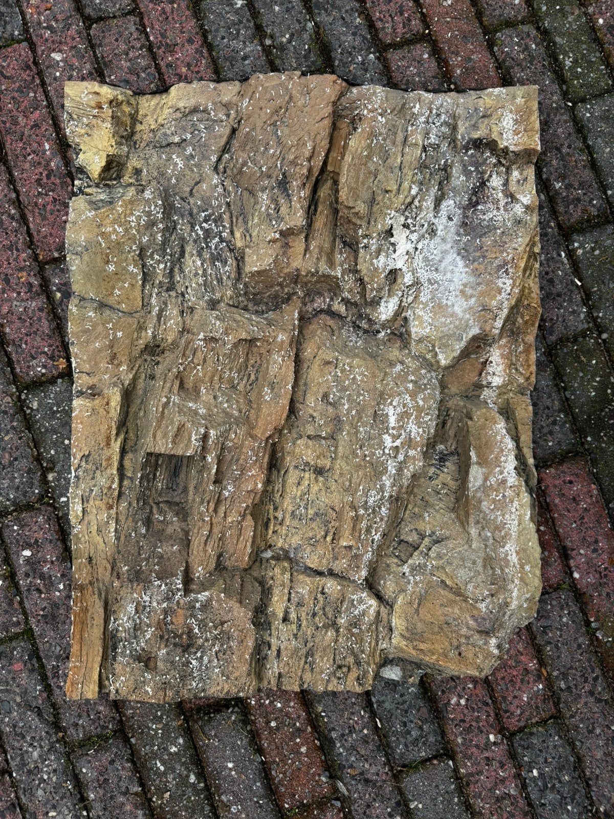 Aquariumachterwand, Ophalen, Gebruikt