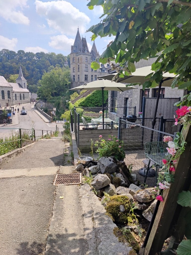 DURBUY Ardennen fijn huisje zicht kasteel ,Ourthe, hond=ok, Overige typen, Open haard, Aan meer of rivier, Landelijk