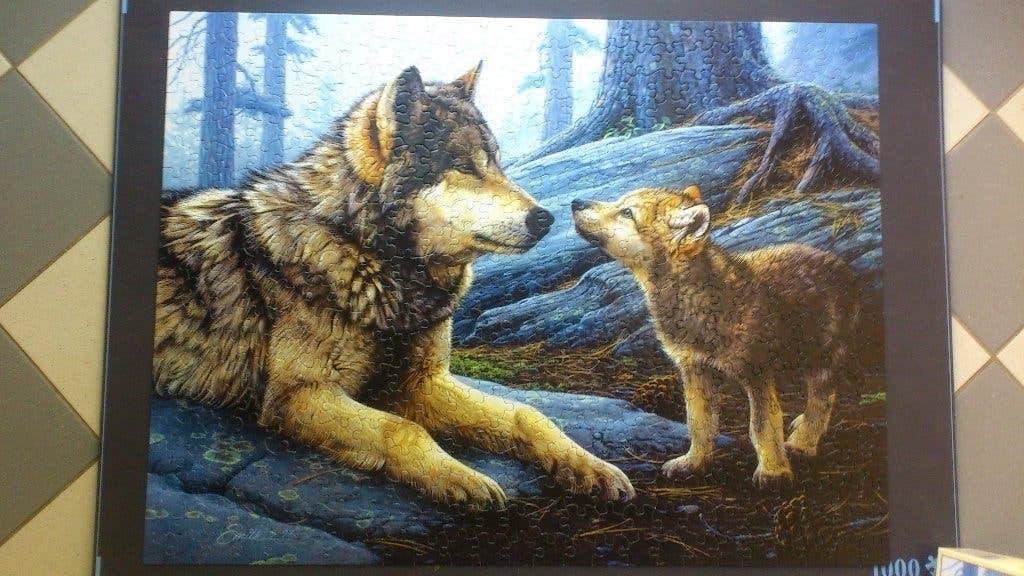 SunsOut - Brother Wolf - 500 L/XL Compleet, Ophalen, 500 t/m 1500 stukjes, Zo goed als nieuw, Legpuzzel
