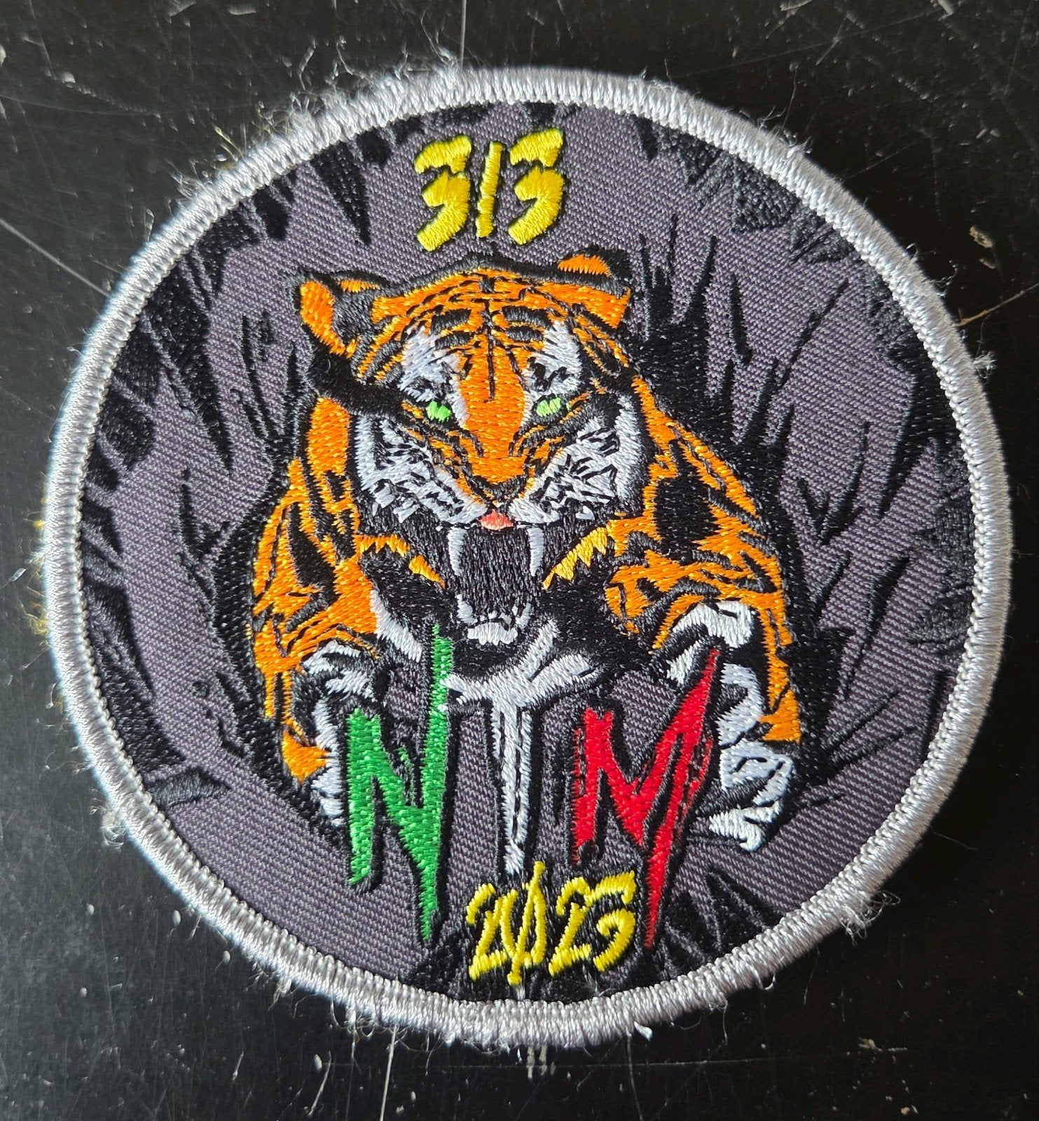 313 squadron patch 2023, Ophalen of Verzenden, Zo goed als nieuw, Patch, Badge of Embleem