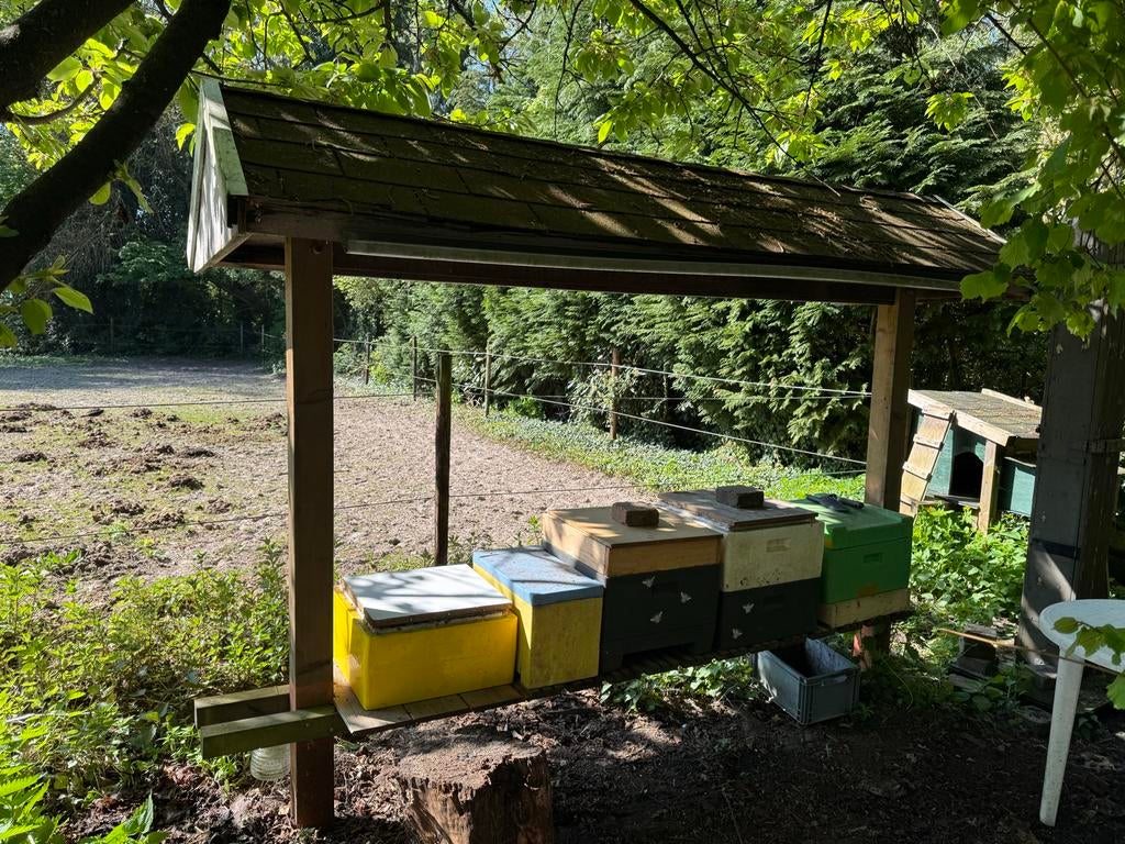 Bijenstal overkapping, Tuin en Terras, Overkappingen, Gebruikt, Ophalen