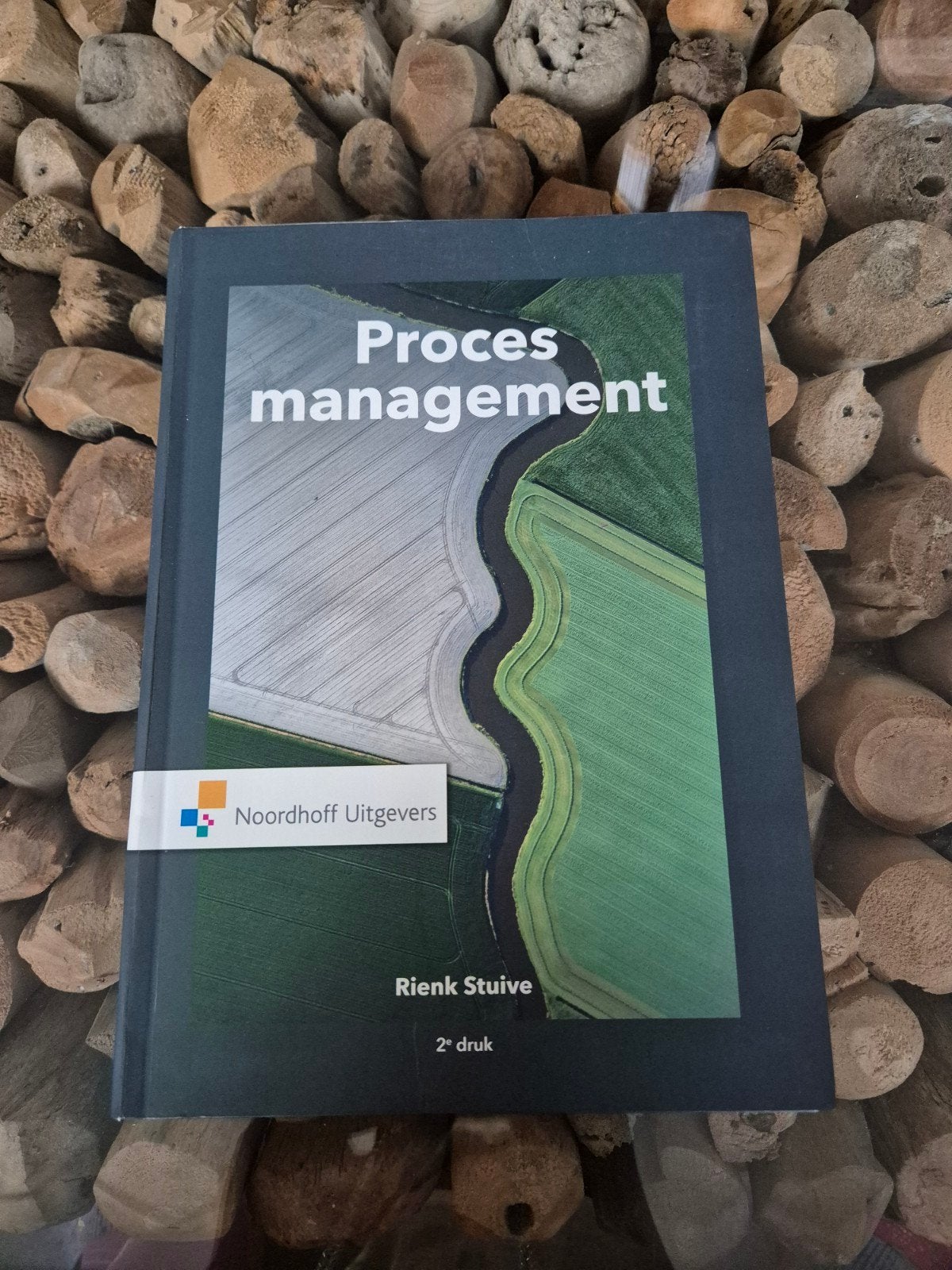 Procesmanagement - R. Stuive (2e druk), Boeken, Rienk Stuive, Zo goed als nieuw, Gamma, HBO