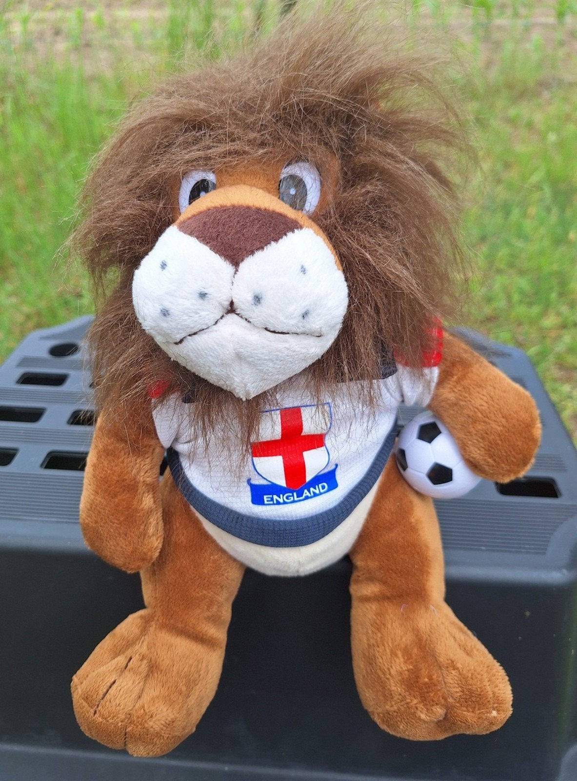 Mascotte Engeland, Verzamelen, Ophalen of Verzenden, Buitenlandse clubs, Vaantje of Sjaal