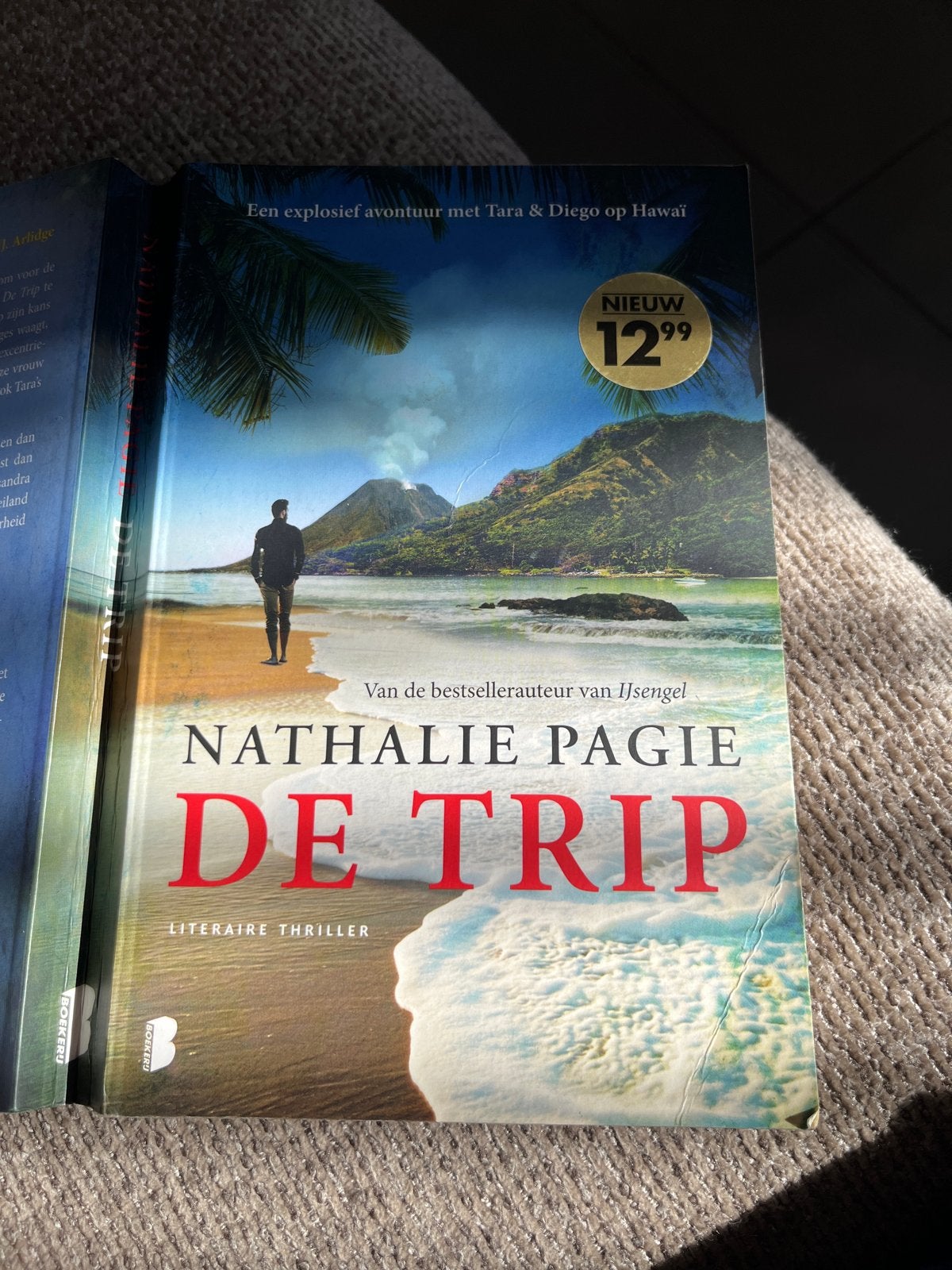 De Trip - Nathalie Pagie (Literaire Thriller), Boeken, Ophalen of Verzenden, Zo goed als nieuw, Nederland