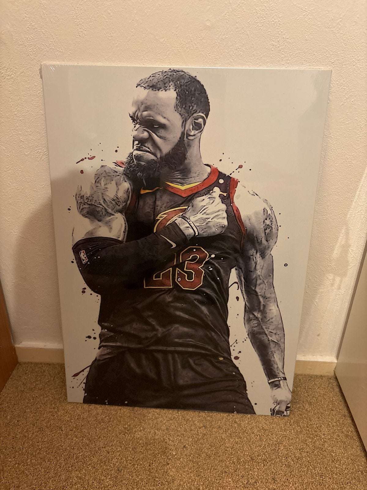 LeBron James Basketbalkunst  Schilderij, Antiek en Kunst, Kunst | Schilderijen | Modern, Figuren, Print, Metaal, Ophalen