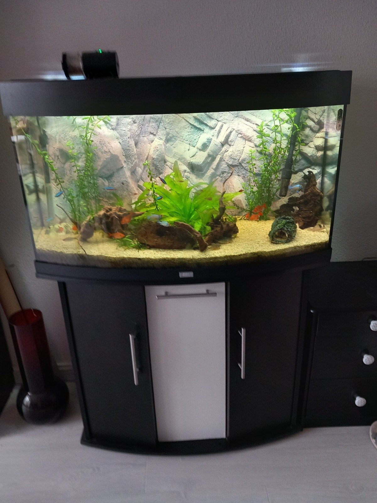 Aquarium, Ophalen, Leeg aquarium