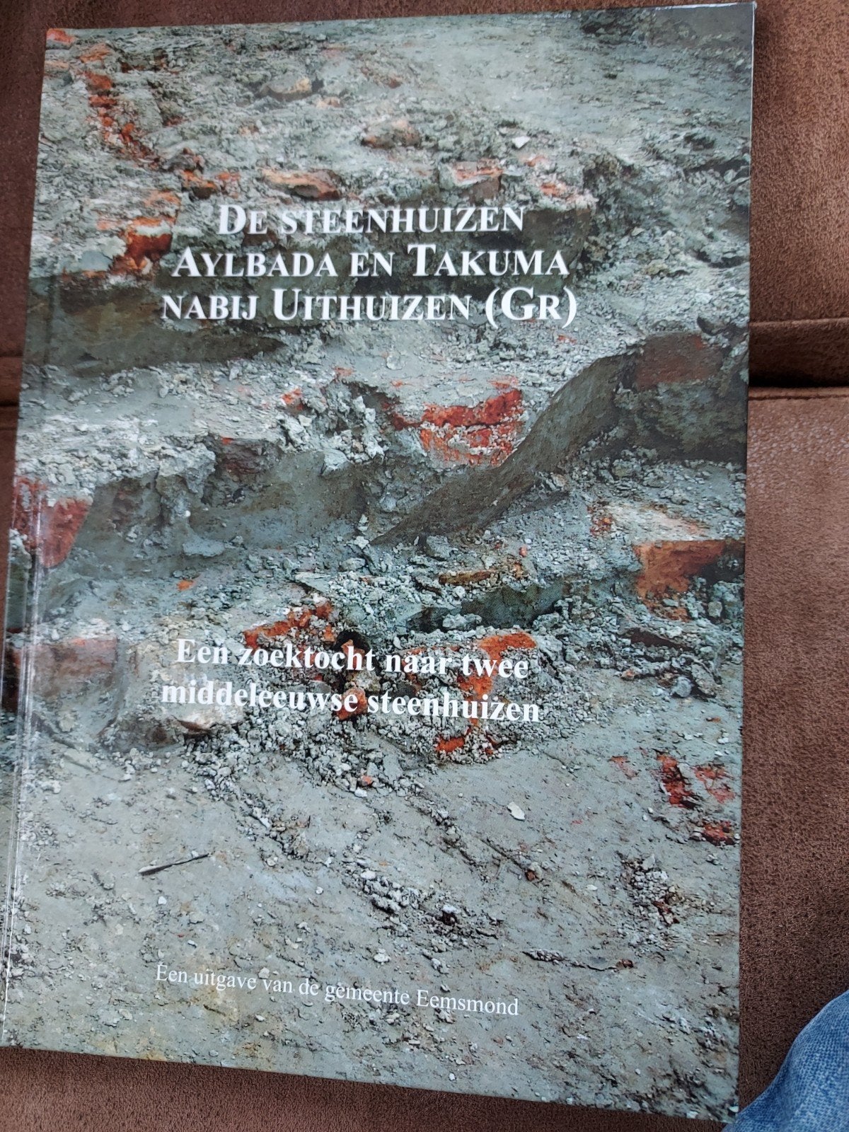 De steenhuizen aylbada en takuma nijbij uithuizen., Ophalen of Verzenden