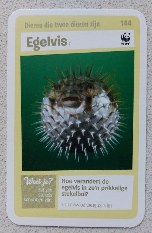 Super dieren no.144 Egelvis [4507]  [VeOvSu], Albert Heijn, Ophalen of Verzenden