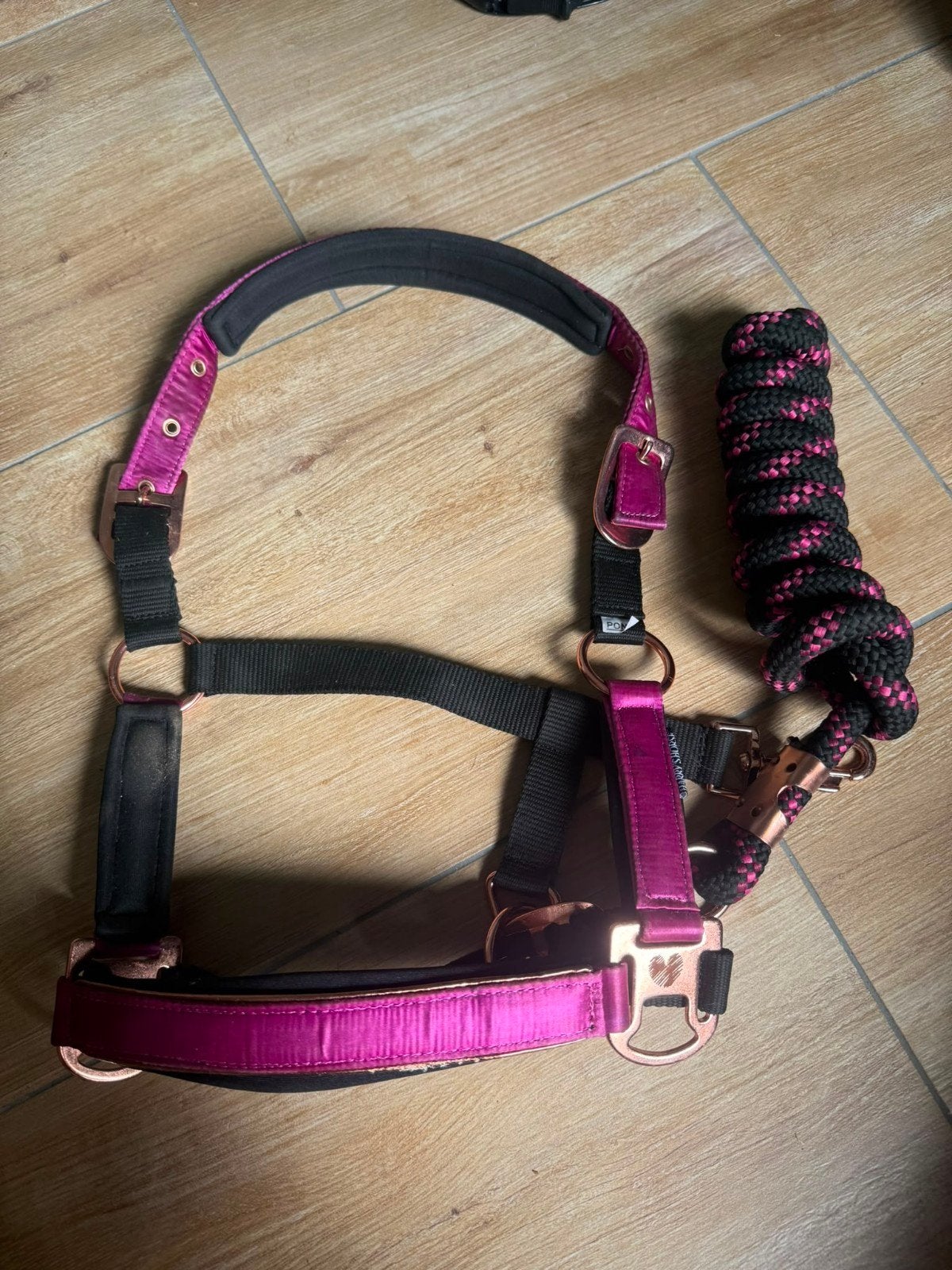 Halster met touw, Ophalen, Nieuw, Pony, Halster