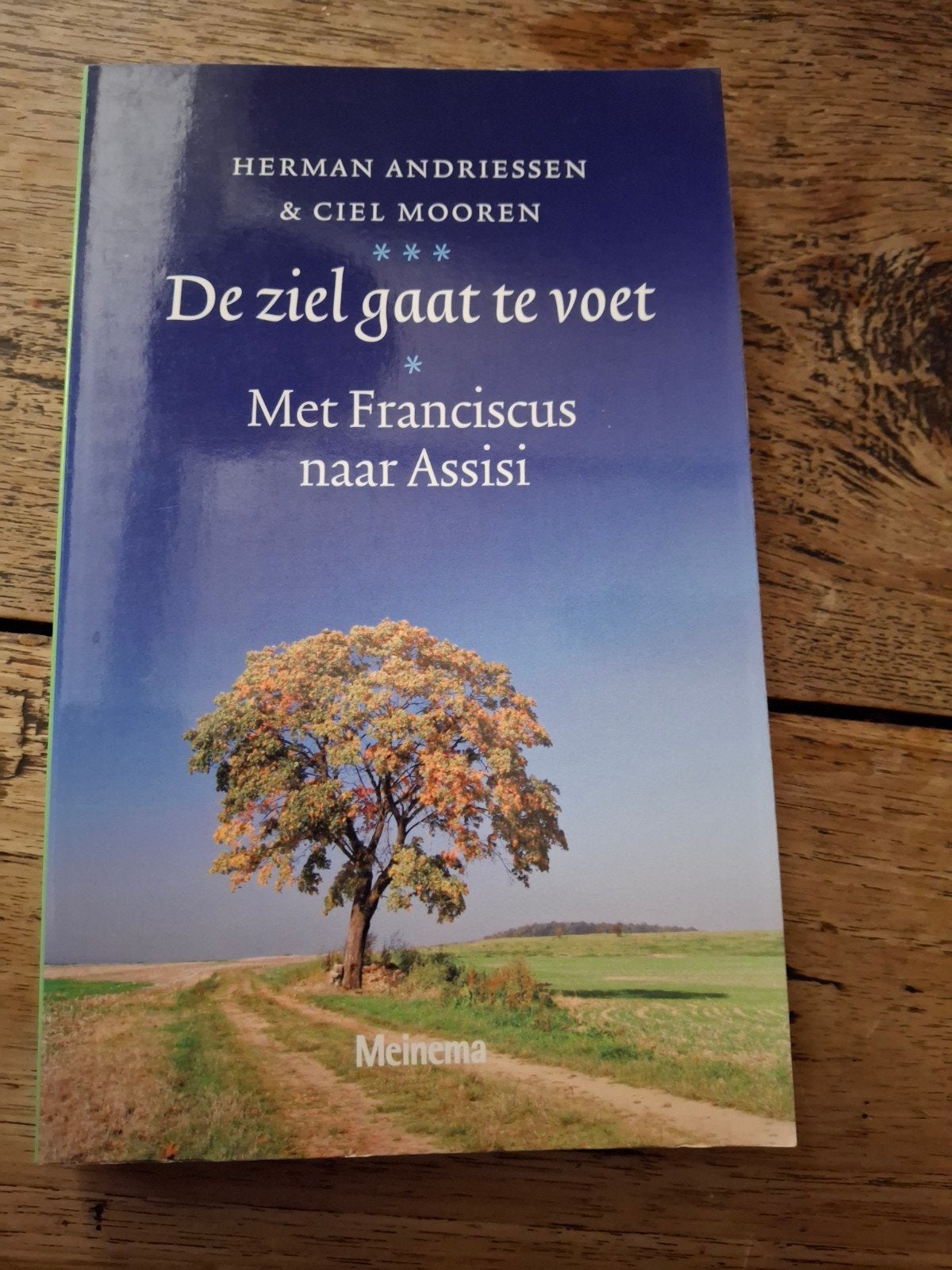 C. Mooren - De ziel gaat te voet, Ophalen of Verzenden, Zo goed als nieuw, C. Mooren; H. Andriessen