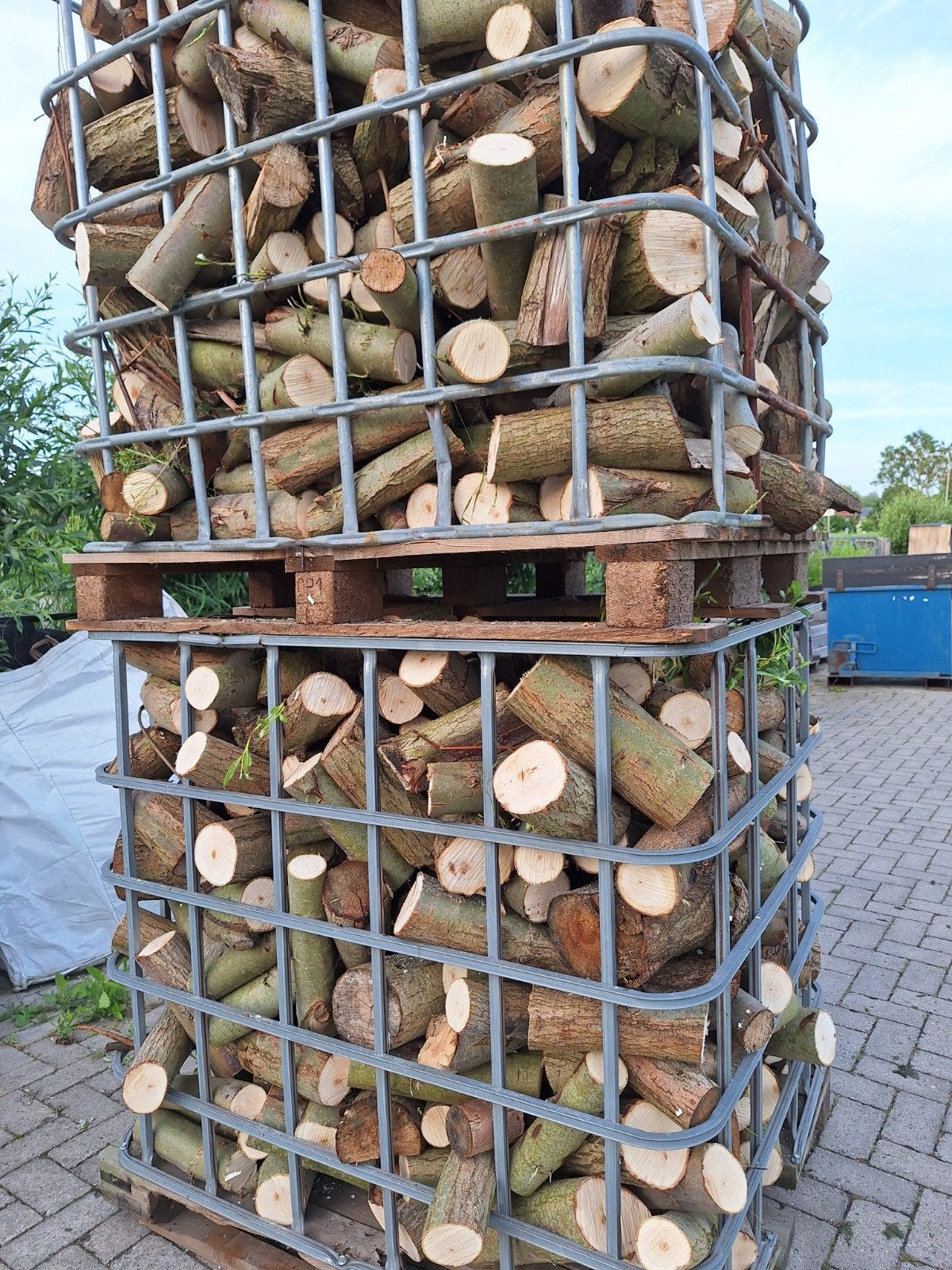 6 kuub vers wilgenhout 50,-, Minder dan 3 m³, Ophalen