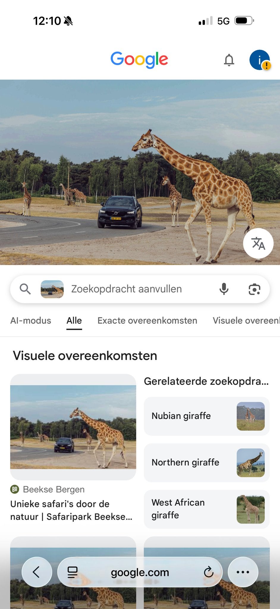 Beekse bergen kaartje voor vandaag, Dieren en Toebehoren, Overige Dieren, November, Geslacht onbekend