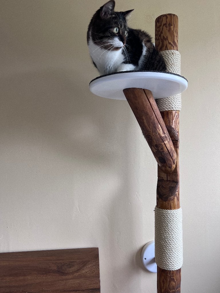 Katten muur-Krabpaal met Relax en Klim plateau's, Dieren en Toebehoren, Ophalen of Verzenden, Nieuw, Krabpaal
