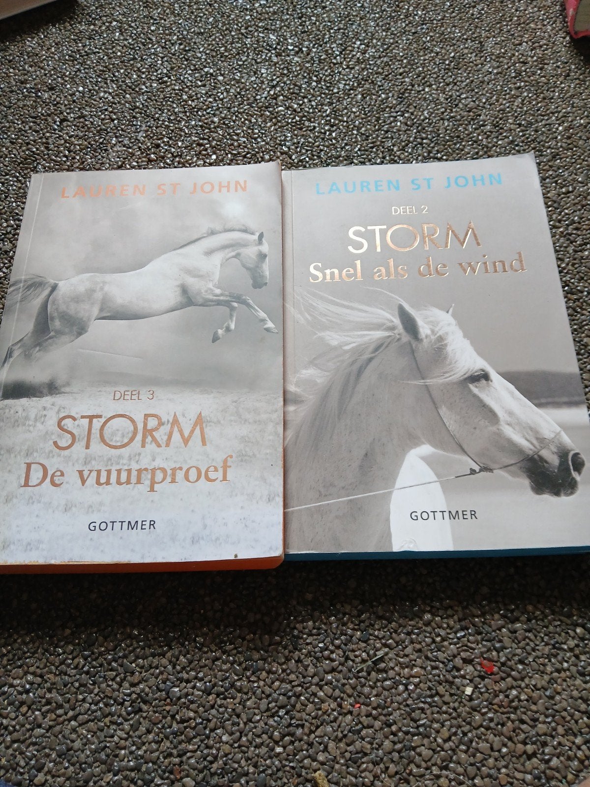 boeken voor mensen die ervaring hebben met lesen, Ophalen
