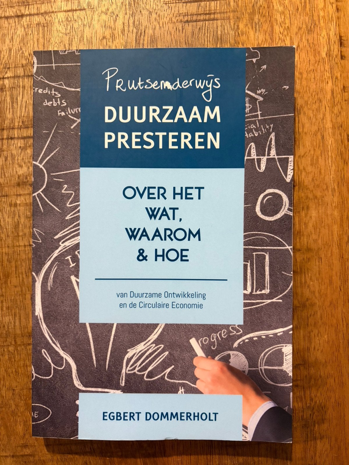 Egbert Dommerholt - Prutsenderwijs duurzaam presteren, Economie, Ophalen of Verzenden, Zo goed als nieuw, Egbert Dommerholt