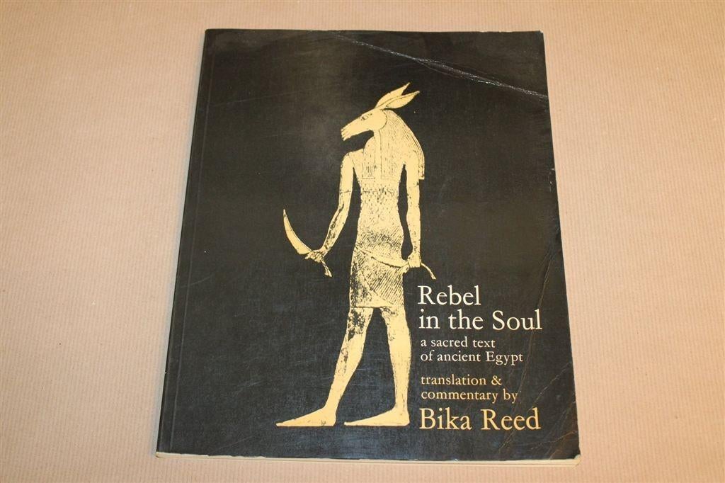 Rebel in the Soul — Egyptische Heilige Tekst Hiërogliefen, Ophalen of Verzenden, Gelezen