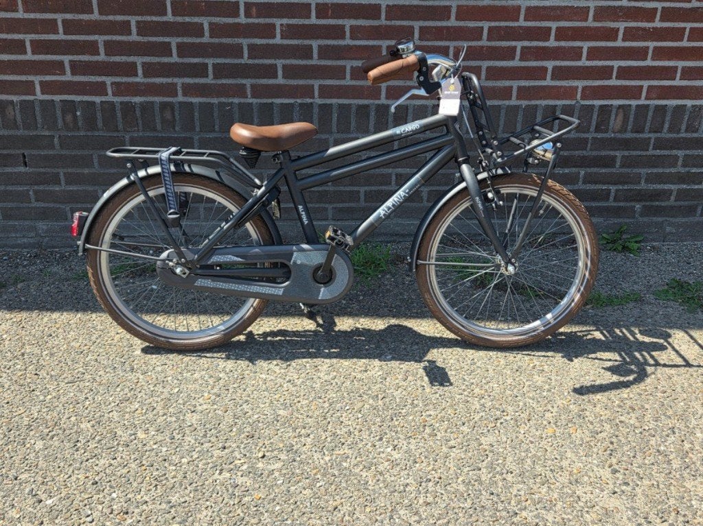 Alpina cargo jongens 20'' rn van 359 voor 175 inruil mogelij, Terugtraprem, Alpina, Ophalen of Verzenden, 20 inch